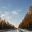 img - ЛДПР