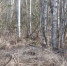 https://ria.ru/20260311/agent-2079876923.html - Kaluga-Poisk.Ru