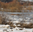 Калуга-поиск - Kaluga-Poisk.Ru