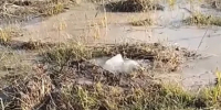 В Обнинске прорвало трубу на водозаборе - Калужский перекрёсток