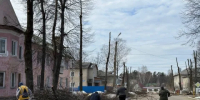 В Кирове начали обрезать деревья - Калужский перекрёсток