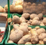 kaluga-poisk.ru - Kaluga-Poisk.Ru