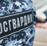 Более 60 административных правонарушений пресекли росгвардейцы в Калужской области за неделю - Росгвардия
