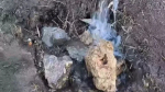 В Калуге пообещали убрать «чудо-ручей» в переулке Хрустальном