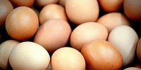 Цены на продукты в Калужской области: что подешевело, а что подорожало - Калужский перекрёсток