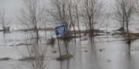 Калуга-поиск - Kaluga-Poisk.Ru