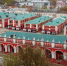 Фото: Kaluga-poisk.ru - Kaluga-Poisk.Ru
