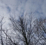 В Калужской области отменили беспилотную опасность - Калужский перекрёсток