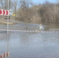 Егора Виркова - Kaluga-Poisk.Ru