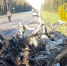 В Юхнове мужчина отправится в колонию за смертельное ДТП - Калужский перекрёсток