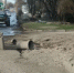 В Калуге на Хрустальной полгода устраняют провал на дороге - Калужский перекрёсток