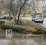 В Калуге рухнуло дерево - Телерадиокомпания Ника
