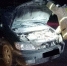 В Дзержинском районе автомобиль наехал на лося - Калужский перекрёсток