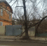 Огромная ветка снова перекрыла тротуар на улице Плеханова в Калуге - Калужский перекрёсток