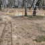 Калуга-поиск - Kaluga-Poisk.Ru