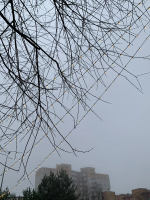 В Калугу вернулась зима