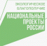 В Калуге открылось школьное лесничество «Соколиная дружина» - Телерадиокомпания Ника