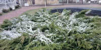 Мокрую субботу прогнозируют в Калужской области - Калужский перекрёсток