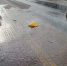 В Калуге вода потекла по улице Достоевского - Комсомольская Правда
