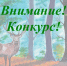 Прием работ на конкурс детских рисунков «Лес – наш главный интерес!» продолжается - Рослесозащита Калужской области
