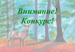 Прием работ на конкурс детских рисунков «Лес – наш главный интерес!» продолжается