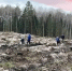Минприроды Калужской области - Kaluga-Poisk.Ru