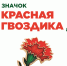 Стартовала ежегодная всероссийская акция помощи ветеранам «Красная гвоздика» - Городская управа