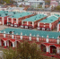 Фото: Kaluga-poisk.ru - Kaluga-Poisk.Ru