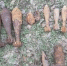 В лесах Калужской области найдены мины, артснаряды и граната - Телерадиокомпания Ника