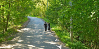 https://yandex.ru/maps/6/kaluga/geo/volkovskaya_ulitsa/8015336/?l=stv%2Csta&ll=36.256189%2C54.584963&panorama%5Bdirection%5D=299.887023%2C-1.638404&panorama%5Bfull%5D=true&panorama%5Bpoint%5D=36.258680%2C54.585704&panorama%5Bspan%5D=57.022449%2C22.170313&source=serp_navig&z=17 - Kaluga-Poisk.Ru