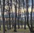 Калуга-поиск - Kaluga-Poisk.Ru