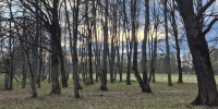 Калуга-поиск - Kaluga-Poisk.Ru