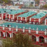 Фото: Kaluga-poisk.ru - Kaluga-Poisk.Ru