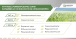 В Калужской области активизируют борьбу с борщевиком Сосновского