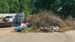 В селе Совхоз Боровский огромная крыса бегает возле мусорной площадки