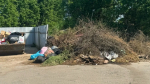 В селе Совхоз Боровский огромная крыса бегает возле мусорной площадки