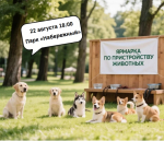 Приют «Кирюшка» подготовил для вас 12 замечательных питомцев