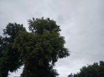 В Калужской области отменили режим беспилотной опасности