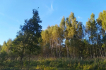 ПВО сбила два беспилотника над Калужской областью