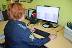 Долги почти по 150 исполнительным производствам выплачены для спасения «Лексуса»
