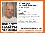 В Калужской области ищут пропавшего в лесу пенсионера