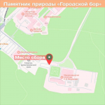 Калужан приглашают присоединиться к субботникам