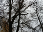 В Калужской области отменили режим беспилотной опасности